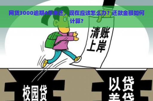 网贷3000逾期4年未还，现在应该怎么办？还款金额如何计算？