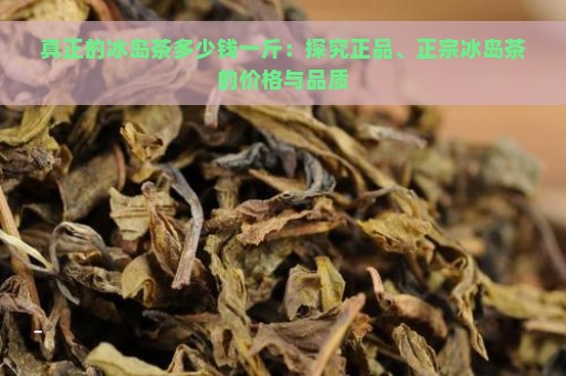 真正的冰岛茶多少钱一斤：探究正品、正宗冰岛茶的价格与品质