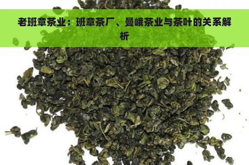 老班章茶业：班章茶厂、曼峨茶业与茶叶的关系解析