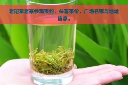 老班章老寨参观预约，头春茶价，广场名称与地址信息。