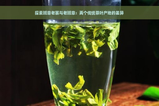 探索班章老寨与老班章：两个传统茶叶产地的差异