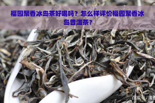 福园聚香冰岛茶好喝吗？怎么样评价福园聚香冰岛普洱茶？