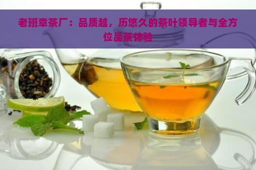 老班章茶厂：品质越，历悠久的茶叶领导者与全方位品茶体验