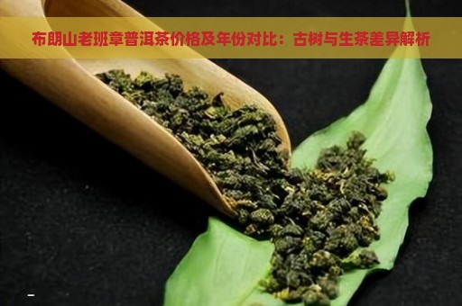 布朗山老班章普洱茶价格及年份对比：古树与生茶差异解析