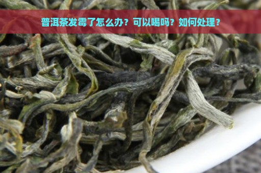 普洱茶发霉了怎么办？可以喝吗？如何处理？