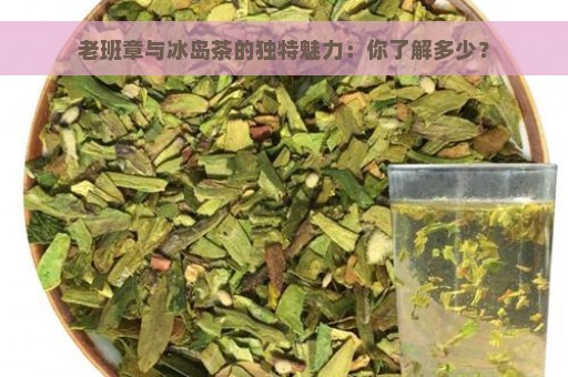 老班章与冰岛茶的独特魅力：你了解多少？