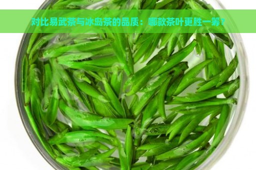 对比易武茶与冰岛茶的品质：哪款茶叶更胜一筹？