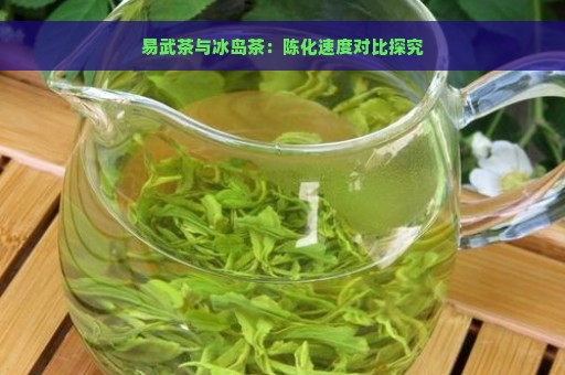 易武茶与冰岛茶：陈化速度对比探究