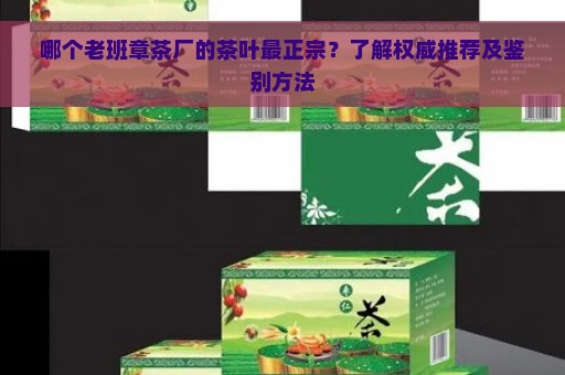 哪个老班章茶厂的茶叶最正宗？了解权威推荐及鉴别方法