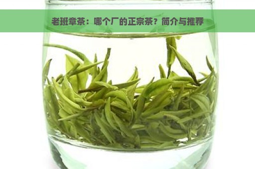 老班章茶：哪个厂的正宗茶？简介与推荐