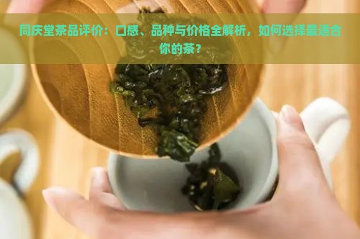 同庆堂茶品评价：口感、品种与价格全解析，如何选择最适合你的茶？