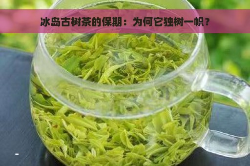 冰岛古树茶的保期：为何它独树一帜？