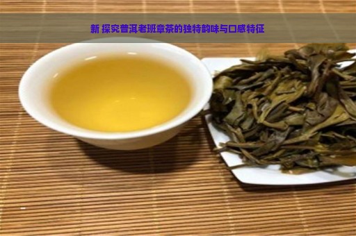 新 探究普洱老班章茶的独特韵味与口感特征