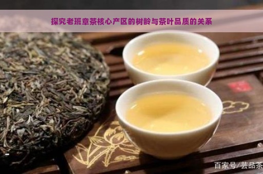 探究老班章茶核心产区的树龄与茶叶品质的关系