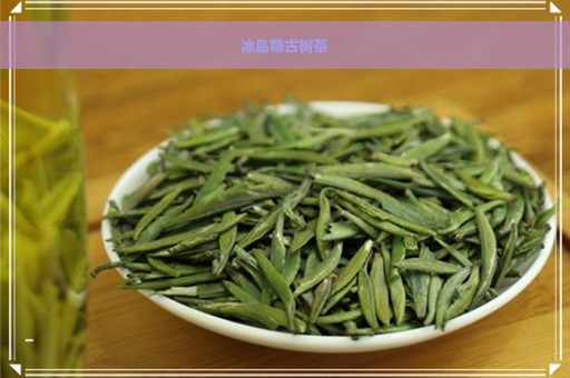 冰岛糯古树茶