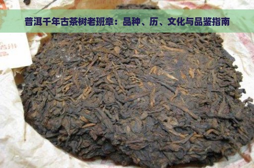 普洱千年古茶树老班章：品种、历、文化与品鉴指南