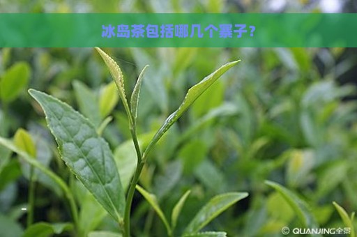 冰岛茶包括哪几个寨子？