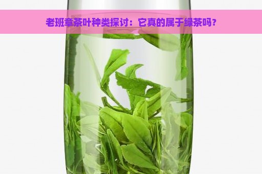 老班章茶叶种类探讨：它真的属于绿茶吗？