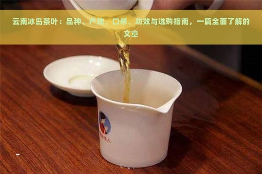 云南冰岛茶叶：品种、产地、口感、功效与选购指南，一篇全面了解的文章