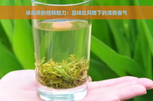 冰岛茶的独特魅力：品味北风情下的清新香气