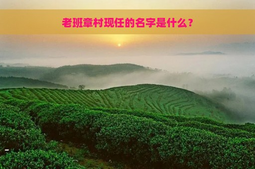 老班章村现任的名字是什么？