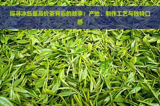 探寻冰岛最高价茶背后的故事：产地、制作工艺与独特口感