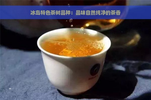 冰岛特色茶树品种：品味自然纯净的茶香