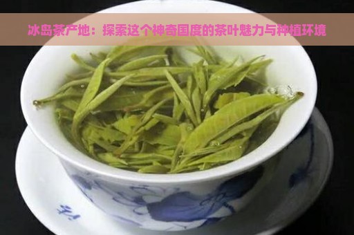 冰岛茶产地：探索这个神奇国度的茶叶魅力与种植环境