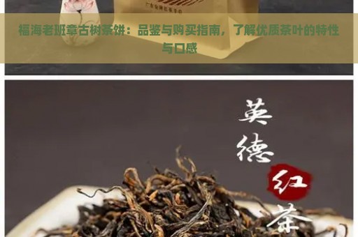 福海老班章古树茶饼：品鉴与购买指南，了解优质茶叶的特性与口感