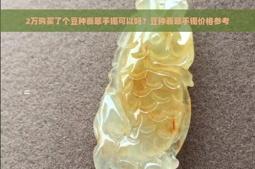 2万购买了个豆种翡翠手镯可以吗？豆种翡翠手镯价格参考