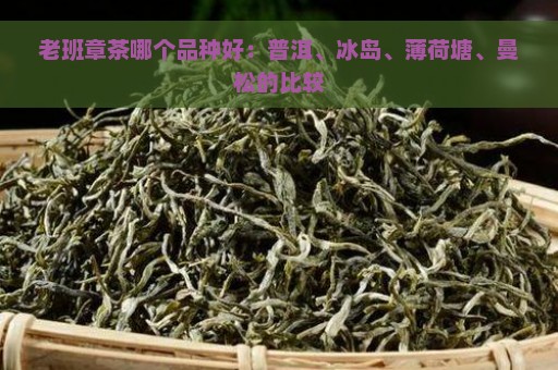 老班章茶哪个品种好：普洱、冰岛、薄荷塘、曼松的比较