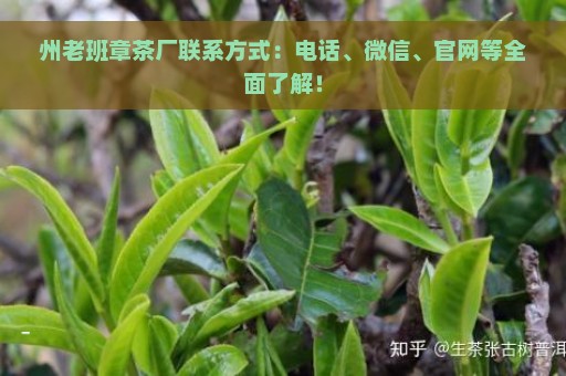 州老班章茶厂联系方式：电话、微信、官网等全面了解！