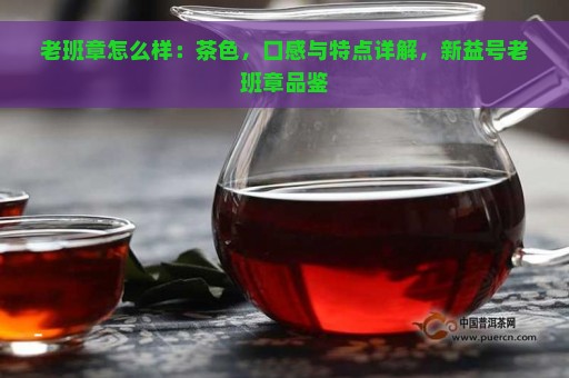 老班章怎么样：茶色，口感与特点详解，新益号老班章品鉴