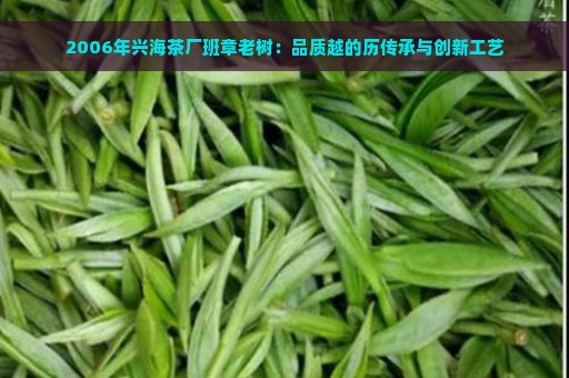 2006年兴海茶厂班章老树：品质越的历传承与创新工艺