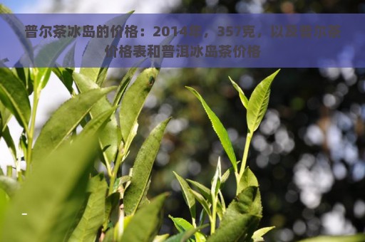 普尔茶冰岛的价格：2014年，357克，以及普尔茶价格表和普洱冰岛茶价格