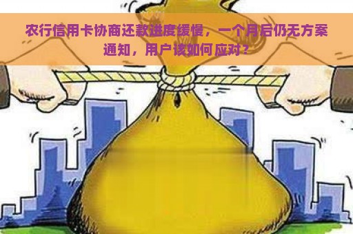 农行信用卡协商还款进度缓慢，一个月后仍无方案通知，用户该如何应对？