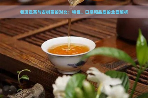 老班章茶与古树茶的对比：特性、口感和品质的全面解析