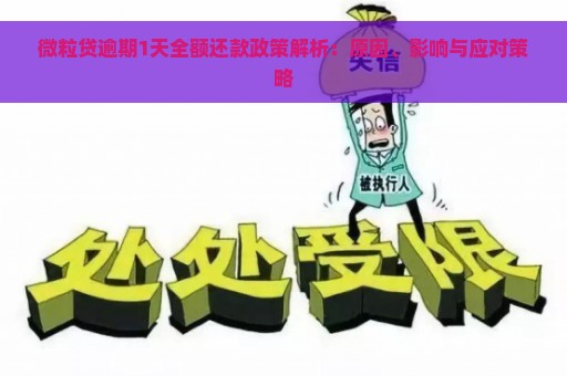 微粒贷逾期1天全额还款政策解析：原因、影响与应对策略