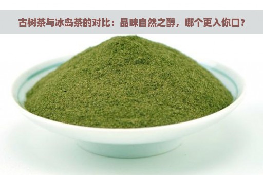 古树茶与冰岛茶的对比：品味自然之醇，哪个更入你口？