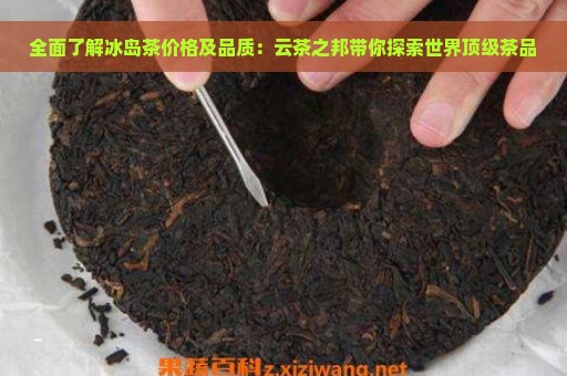 全面了解冰岛茶价格及品质：云茶之邦带你探索世界顶级茶品