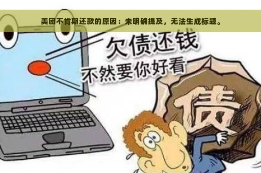 美团不肯期还款的原因：未明确提及，无法生成标题。