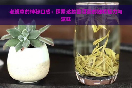 老班章的神秘口感：探索这款普洱茶的独特魅力与滋味