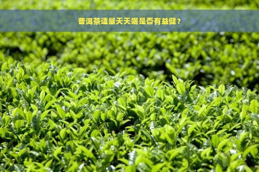 普洱茶适量天天喝是否有益健？