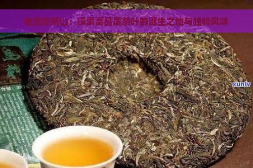 老班章茶山：探索高品质茶叶的诞生之地与独特风味