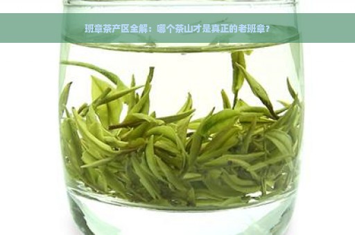 班章茶产区全解：哪个茶山才是真正的老班章？