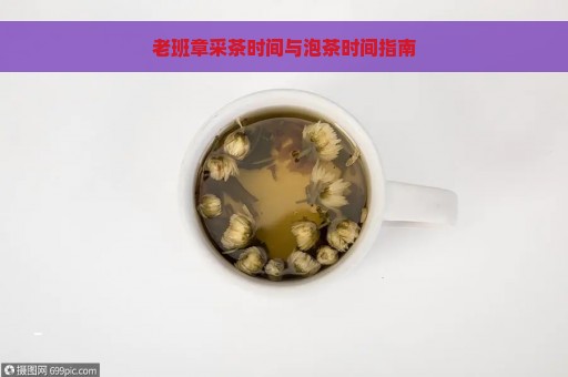 老班章采茶时间与泡茶时间指南