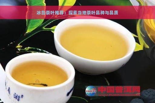 冰岛茶叶推荐：探索当地茶叶品种与品质