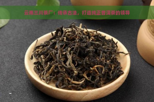 云南三川茶厂：传承古法，打造纯正普洱茶的领导