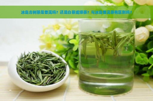 冰岛古树茶是普洱吗？还是白茶或绿茶？与冰岛普洱茶有区别吗？