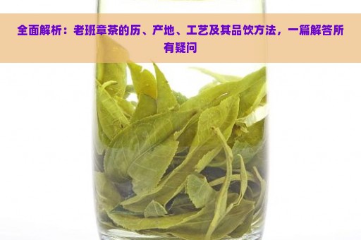 全面解析：老班章茶的历、产地、工艺及其品饮方法，一篇解答所有疑问